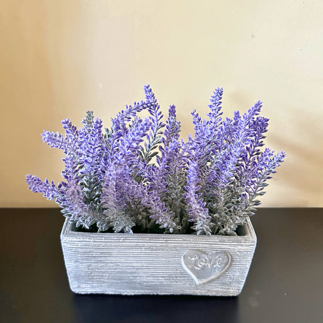 Planta Artificial Lavanda - Macetero Ceramica-Dreamy Home