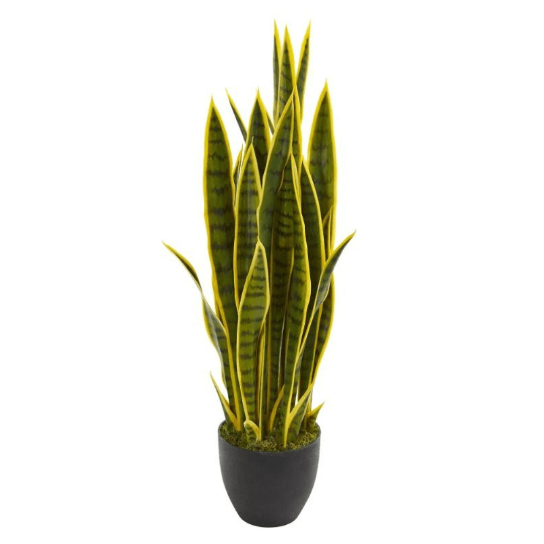 Planta Artificial Serpentaria - Altura 85 cm-Dreamy Home